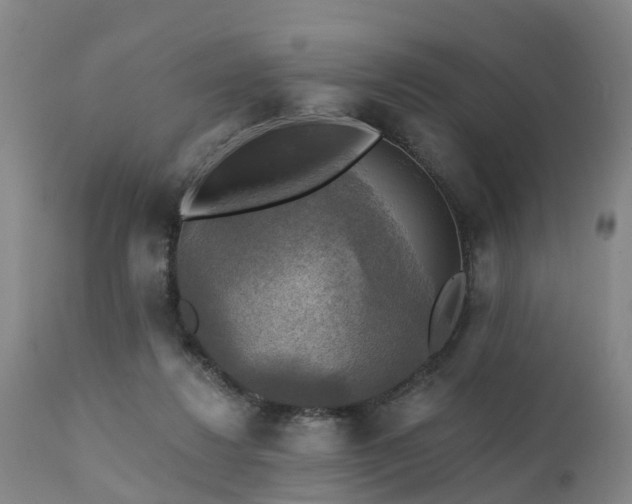 X0000111240260200907091406