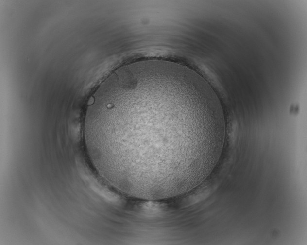 X0000111240261200907091406