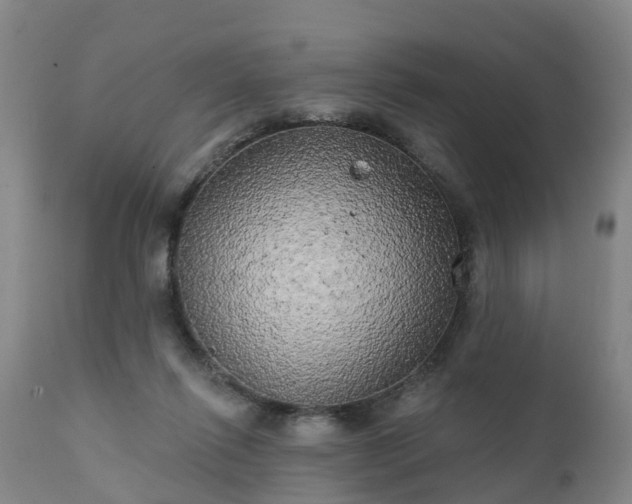 X0000111240262200907091406