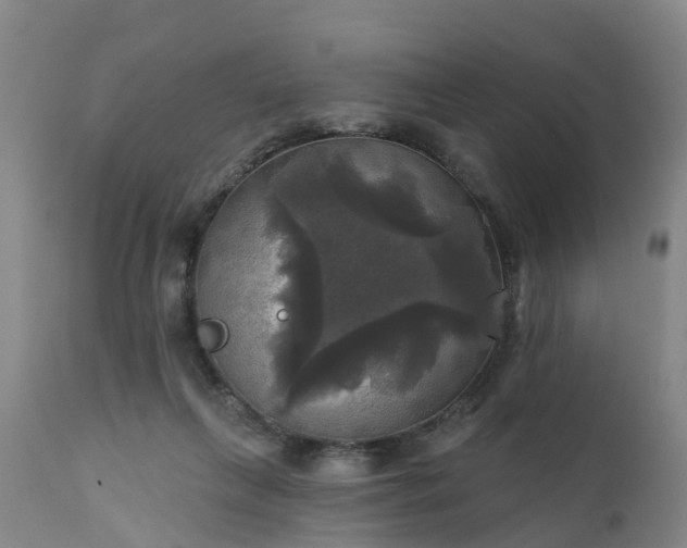 X0000111240263200907091406