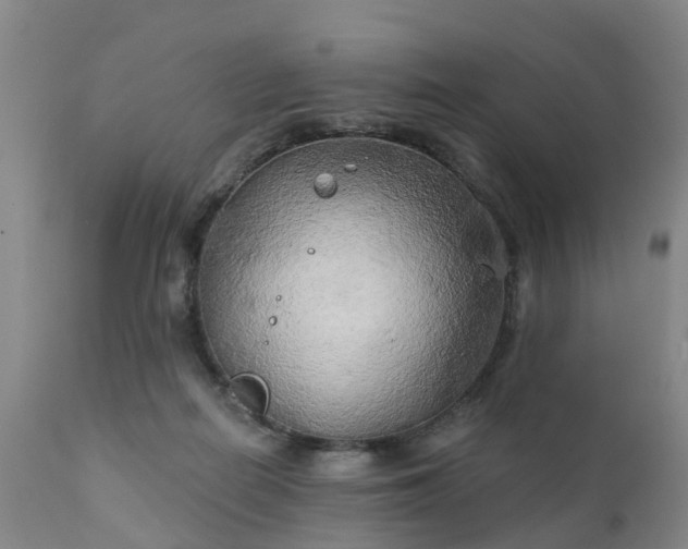 X0000111240266200907091407