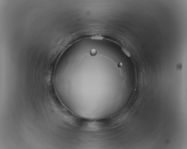 X0000111240268200907091407