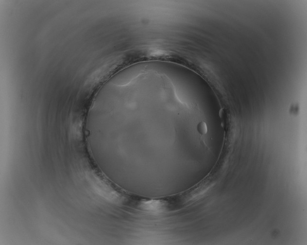 X0000111240269200907091407