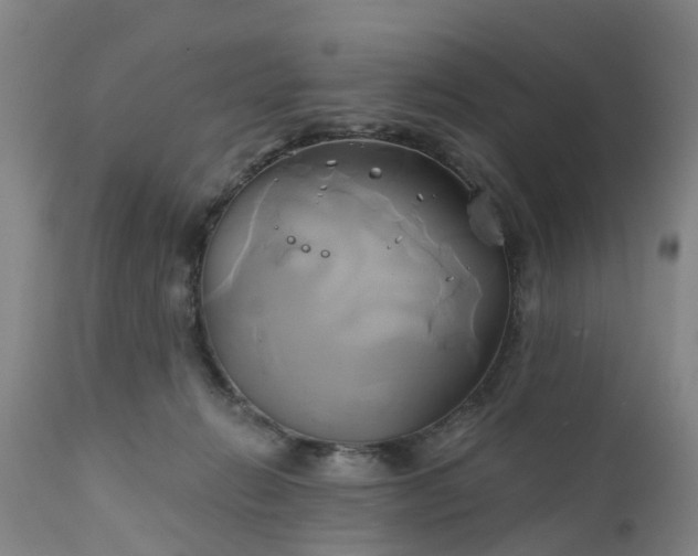 X0000111240270200907091407