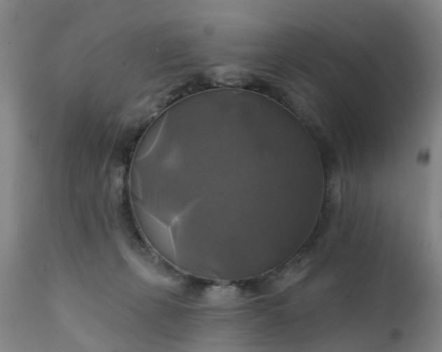 X0000111240271200907091407