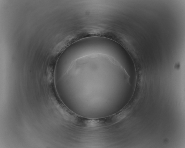 X0000111240273200907091407