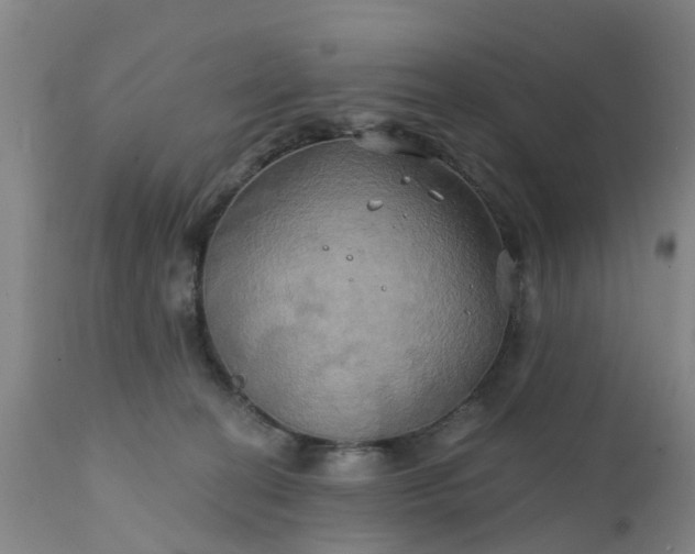 X0000111240274200907091407