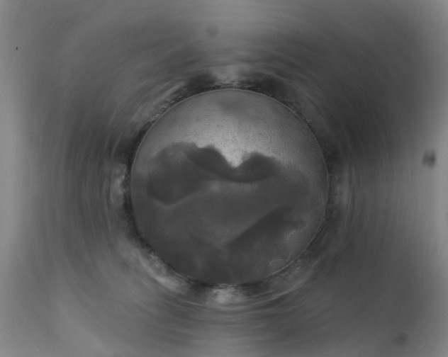 X0000111240275200907091407