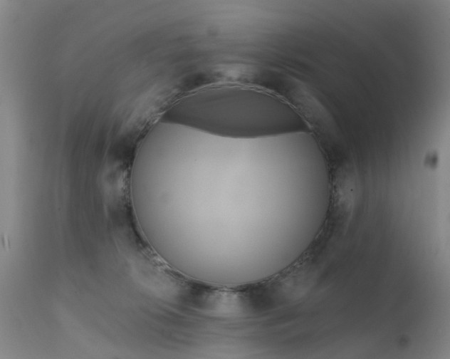 X0000111240276200907091407