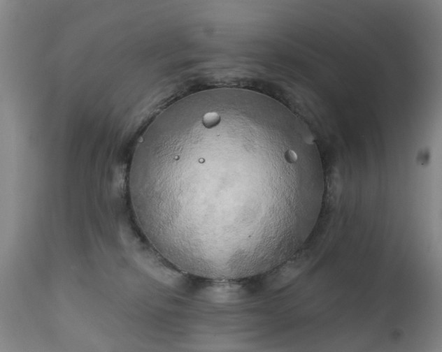 X0000111240278200907091407