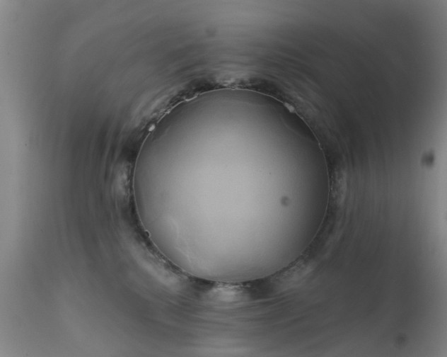 X0000111240280200907091407