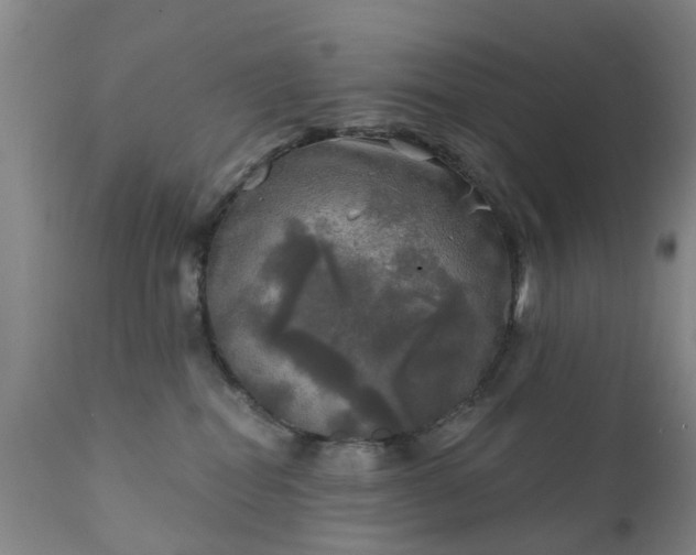 X0000111240282200907091407