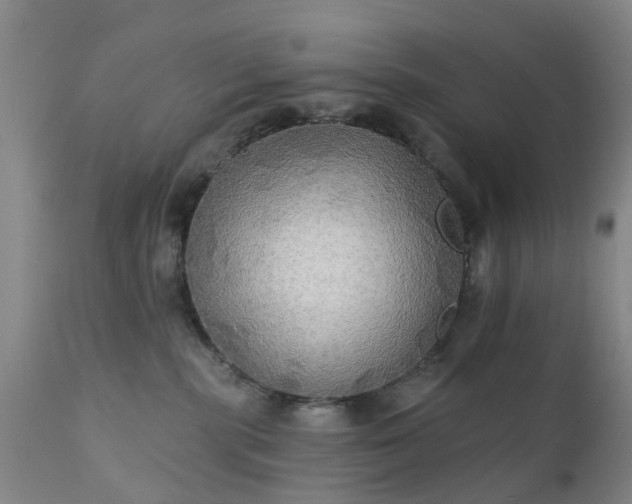 X0000111240283200907091407