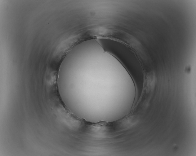 X0000111240284200907091407