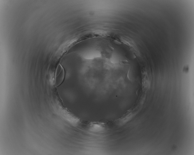 X0000111240285200907091407