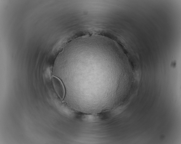 X0000111240286200907091407