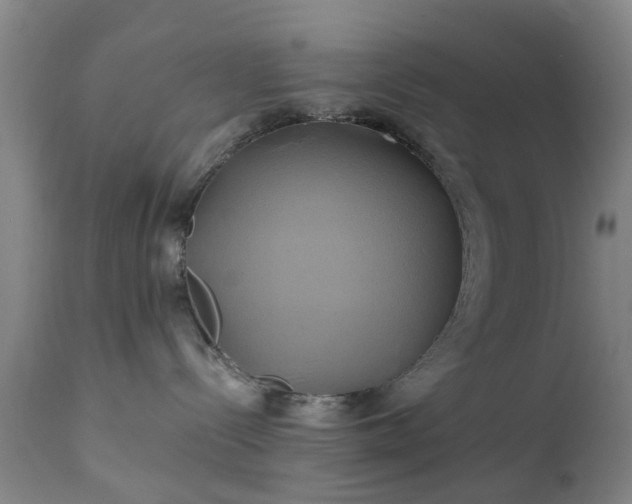 X0000111240288200907091407