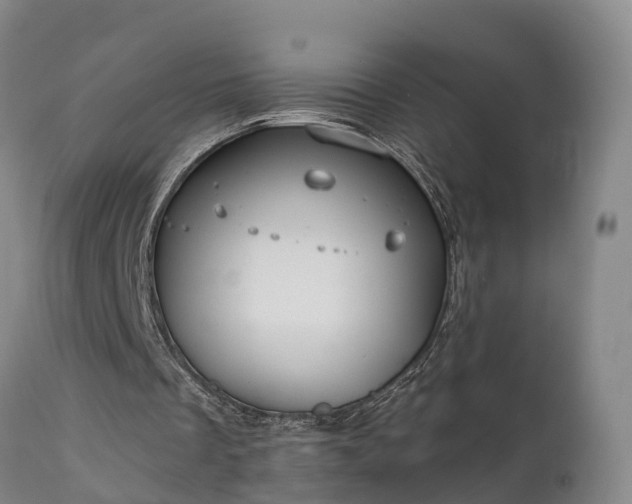 X0000111240289200907091406