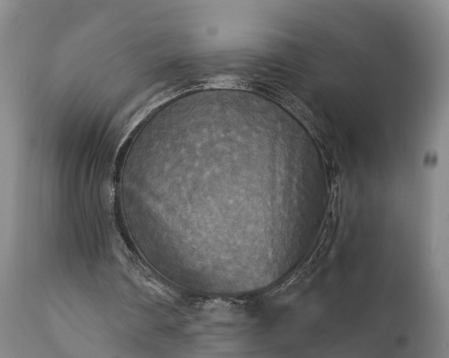 X0000111240290200907091406