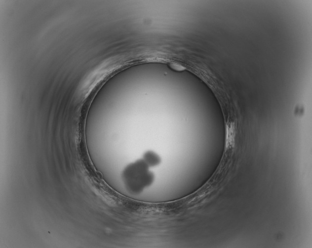 X0000111240291200907091406