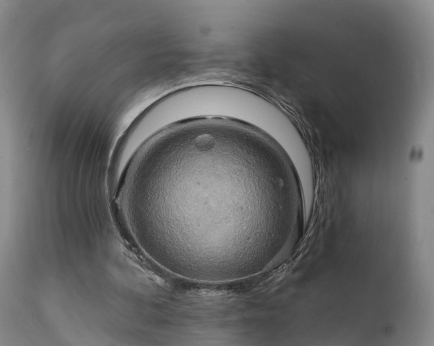 X0000111240292200907091406