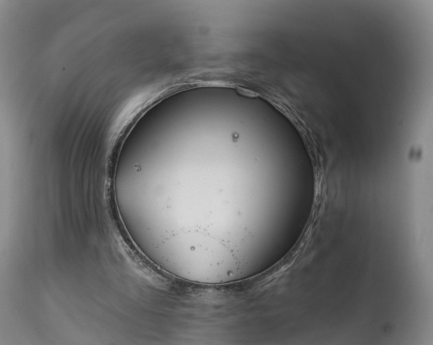 X0000111240293200907091406