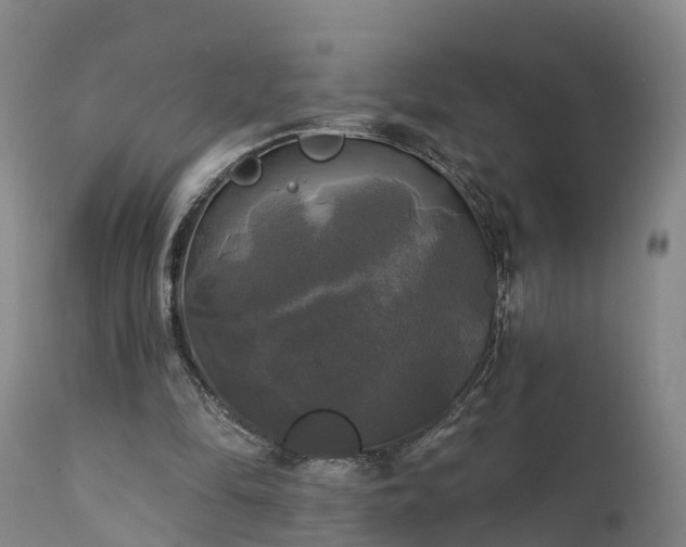 X0000111240294200907091406