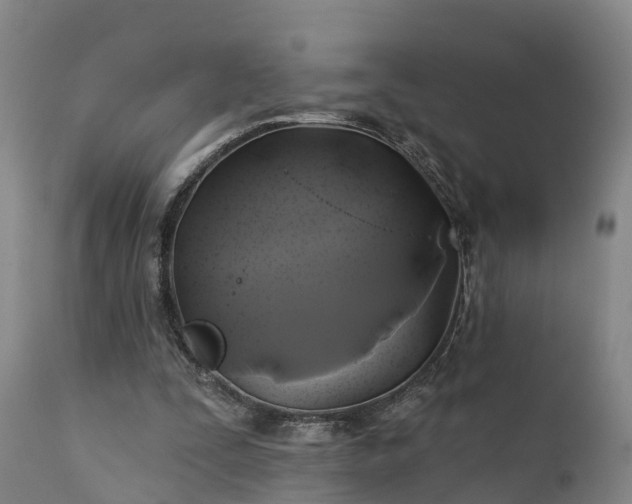 X0000111240295200907091406