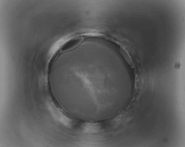 X0000111240296200907091406