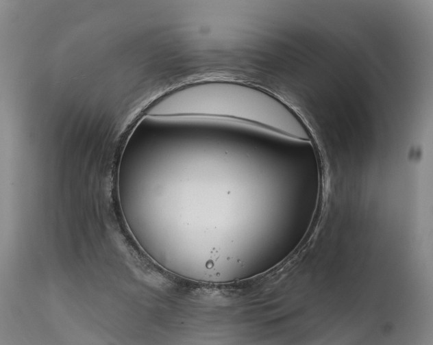 X0000111240297200907091406