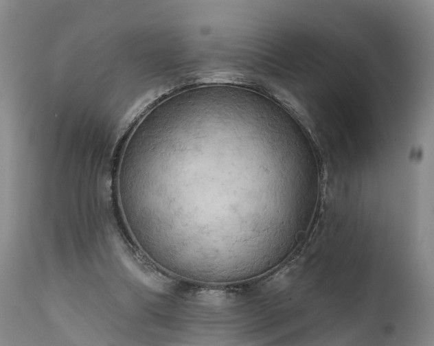 X0000111240298200907091406