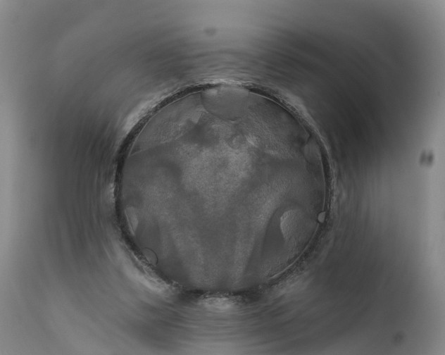 X0000111240299200907091406