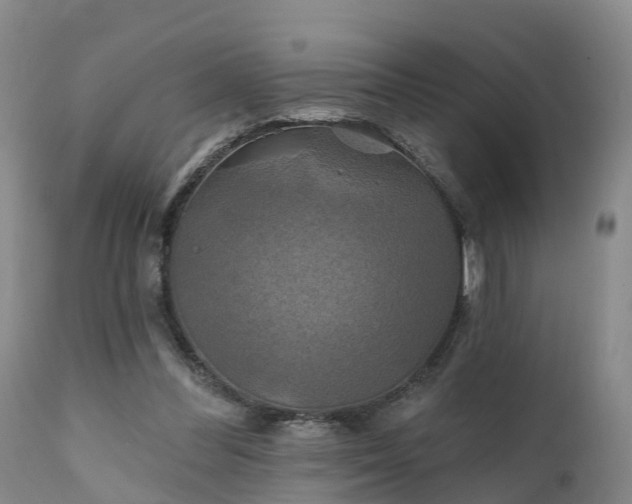 X0000111240300200907091406