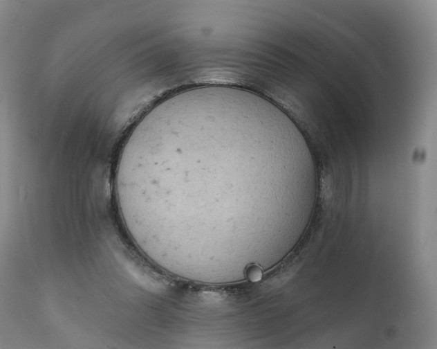 X0000111240302200907091406