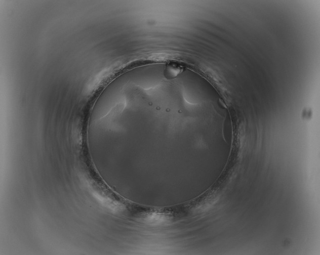 X0000111240303200907091406