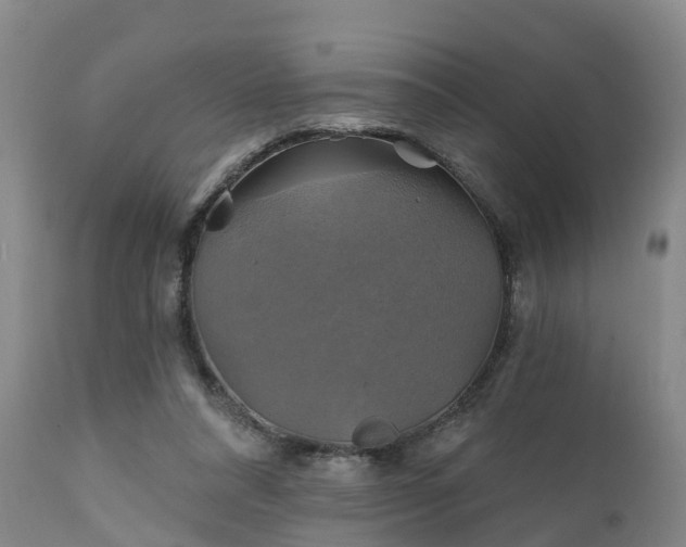 X0000111240304200907091406