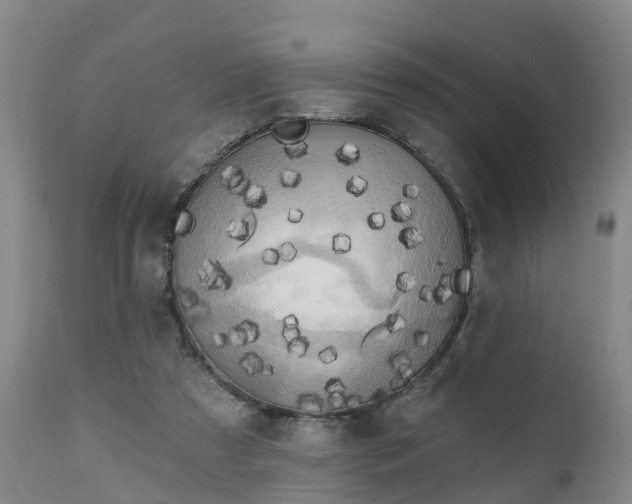 X0000111240305200907091406