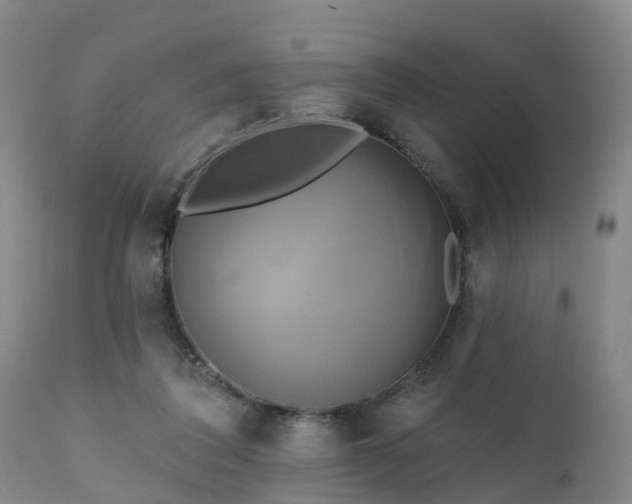 X0000111240308200907091406