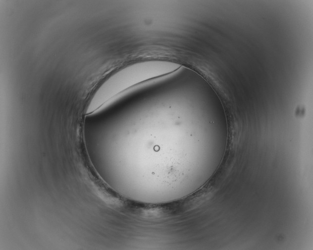 X0000111240309200907091406