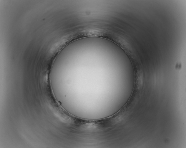 X0000111240310200907091406