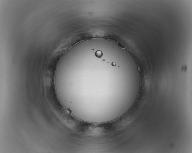 X0000111240311200907091406