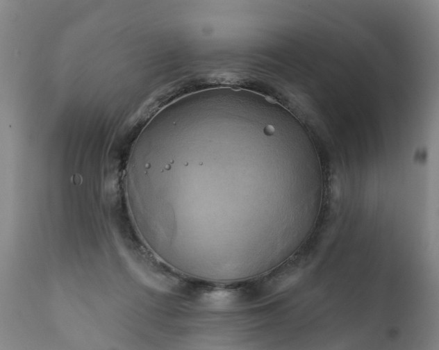 X0000111240312200907091406