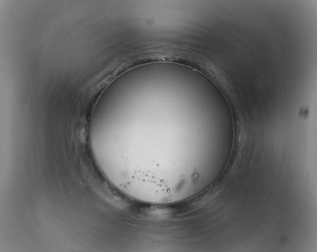 X0000111240313200907091406