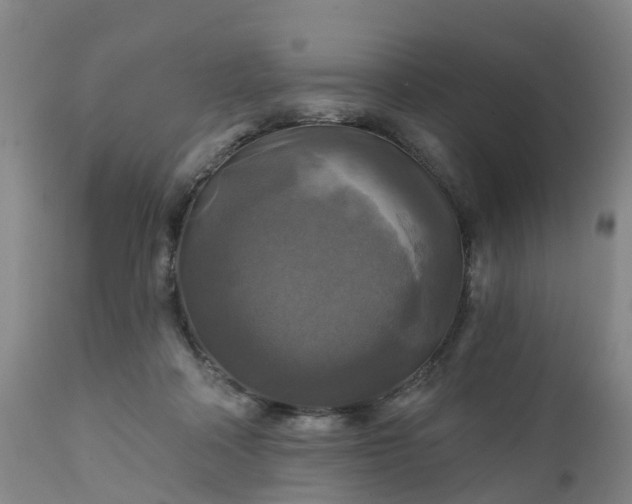 X0000111240314200907091406