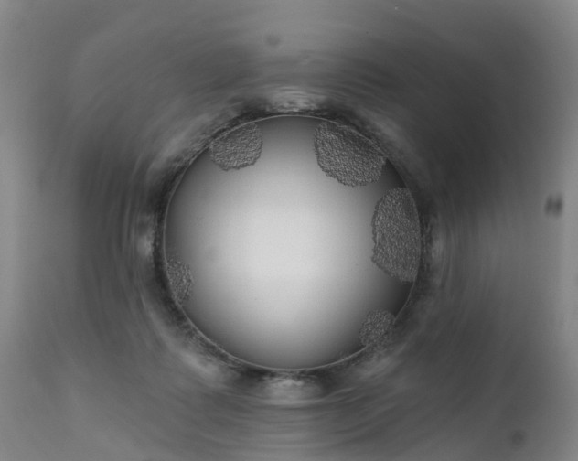 X0000111240315200907091406