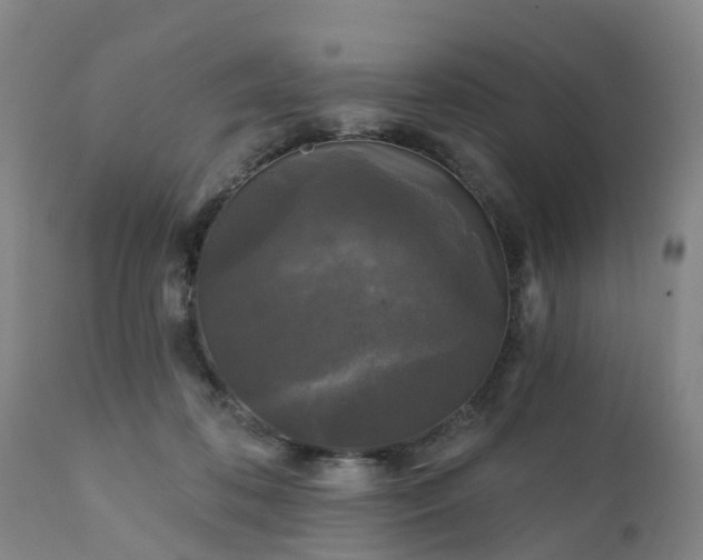 X0000111240316200907091406