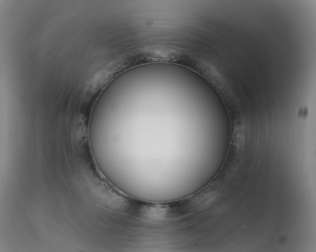 X0000111240318200907091406