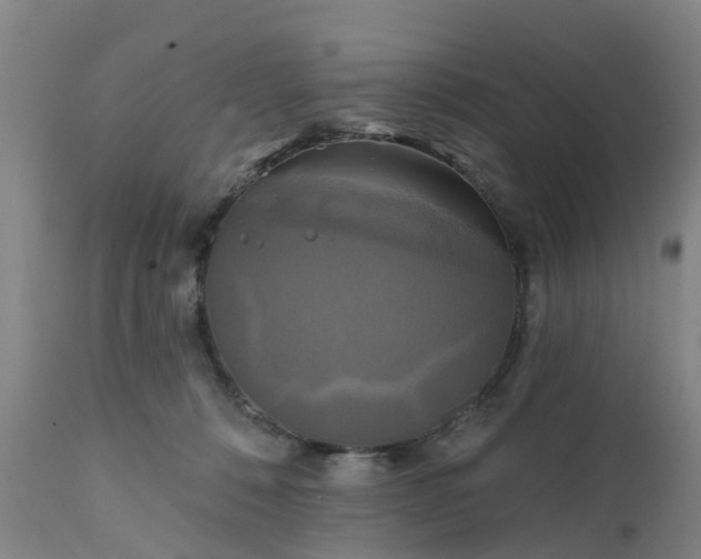 X0000111240320200907091406