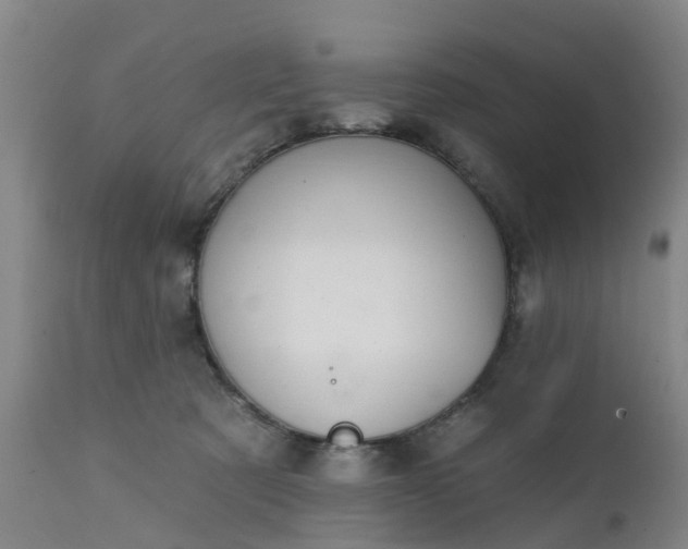 X0000111240321200907091406