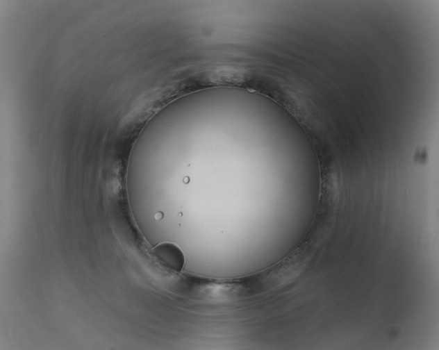 X0000111240323200907091406